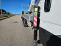 Iveco Daily 35S14 2.3HPT PL PIATTAFORMA CON CESTELLO 20 SOCAGE Blanc - thumbnail 11