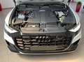 Audi Q8 Q8 50 TDI S-Line B&O Sport Weiß - thumbnail 5