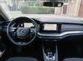 Skoda Octavia Octavia 2.0 TDI 150 CV DSG Wagon Executive Argent - thumbnail 24