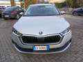 Skoda Octavia Octavia 2.0 TDI 150 CV DSG Wagon Executive Argent - thumbnail 8