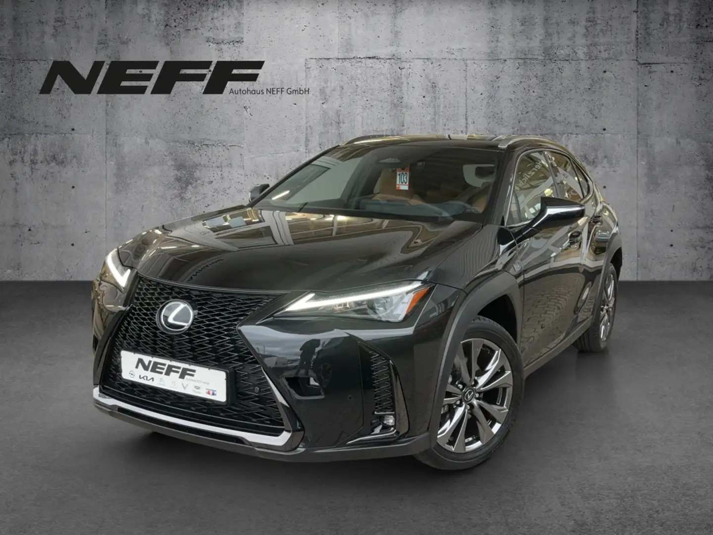 Lexus UX 300e UX 300h F Sport Design Barzahlungspreis *ACC*KAM Černá - 2