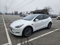 Tesla Model Y Model Y Long Range AWD 79kWh Weiß - thumbnail 3