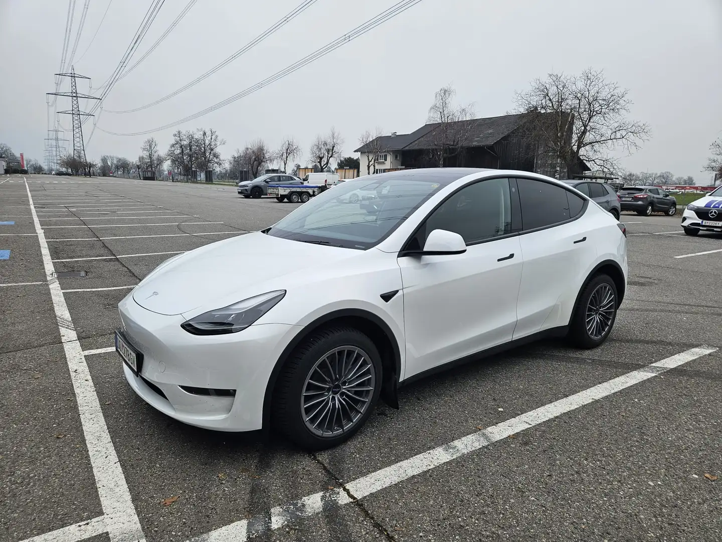 Tesla Model Y Model Y Long Range AWD 79kWh Weiß - 1