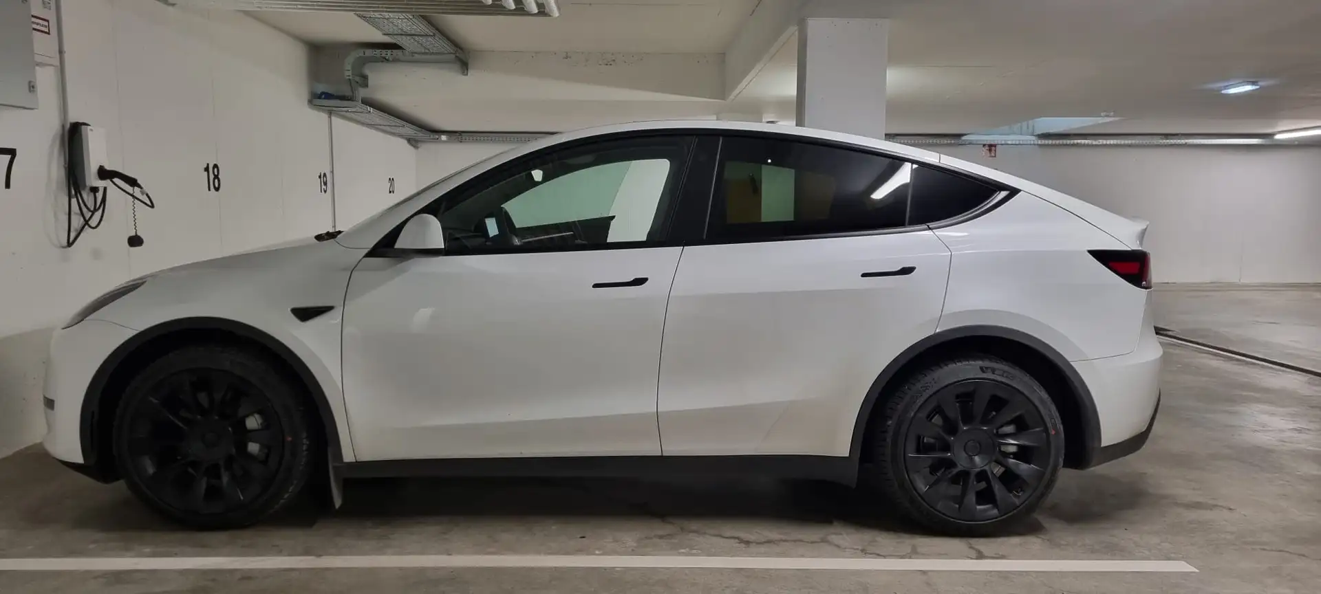 Tesla Model Y Model Y Long Range AWD 79kWh Weiß - 1