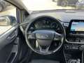 Ford Fiesta Fiesta 1.5 TDCi 5 porte Titanium Blu/Azzurro - thumbnail 10
