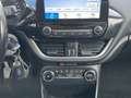 Ford Fiesta Fiesta 1.5 TDCi 5 porte Titanium Blu/Azzurro - thumbnail 12