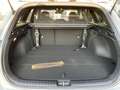 Kia Ceed SW / cee'd SW Ceed SW 1.0 T-GDI Nightline Edition *Winterpaket* Grau - thumbnail 15