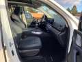 Mercedes-Benz GLE 300 d 4Matic///AMG*LED*Panoramadach*Burmester*NAVI*AHV Weiß - thumbnail 15