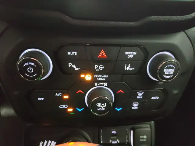 Jeep Renegade view 19