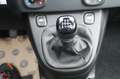 Fiat Panda My25 1.0 70cv FireFly S&S Hybrid *PackCity* Rouge - thumbnail 18