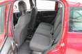 Fiat Panda My25 1.0 70cv FireFly S&S Hybrid *PackCity* Rouge - thumbnail 8