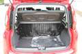 Fiat Panda My25 1.0 70cv FireFly S&S Hybrid *PackCity* Rouge - thumbnail 7