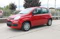Fiat Panda My25 1.0 70cv FireFly S&S Hybrid *PackCity* Rouge - thumbnail 3