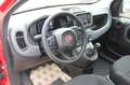 Fiat Panda My25 1.0 70cv FireFly S&S Hybrid *PackCity* Rouge - thumbnail 11