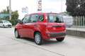 Fiat Panda My25 1.0 70cv FireFly S&S Hybrid *PackCity* Rouge - thumbnail 4