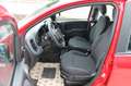 Fiat Panda My25 1.0 70cv FireFly S&S Hybrid *PackCity* Rouge - thumbnail 12