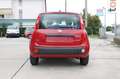 Fiat Panda My25 1.0 70cv FireFly S&S Hybrid *PackCity* Rouge - thumbnail 5