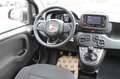 Fiat Panda My25 1.0 70cv FireFly S&S Hybrid *PackCity* Rouge - thumbnail 9