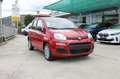 Fiat Panda My25 1.0 70cv FireFly S&S Hybrid *PackCity* Rouge - thumbnail 1