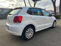 Volkswagen Polo Polo V 2009 5p 1.2 Comfortline 70cv OTTIMA Bianco - thumbnail 3