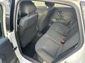 Volkswagen Polo Polo V 2009 5p 1.2 Comfortline 70cv OTTIMA Bianco - thumbnail 8