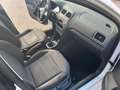 Volkswagen Polo Polo V 2009 5p 1.2 Comfortline 70cv OTTIMA Bianco - thumbnail 7
