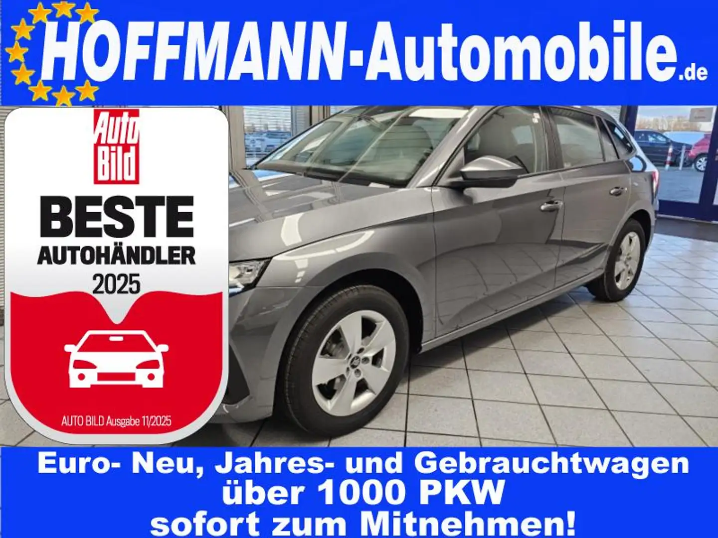 Skoda Scala Selection AHK,Sitzhzg,LED,Kamera,Climatr. Grau - 1