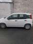 Fiat Panda 1.3 mjt 16v Young 75cv - thumbnail 3