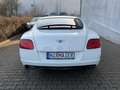Bentley Continental GT CONTINENTAL GT 4.0 V8 22 ZOLL  EINZELSTÜCK Blanc - thumbnail 10