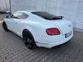 Bentley Continental GT CONTINENTAL GT 4.0 V8 22 ZOLL  EINZELSTÜCK Blanc - thumbnail 9