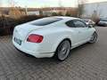 Bentley Continental GT CONTINENTAL GT 4.0 V8 22 ZOLL  EINZELSTÜCK Blanc - thumbnail 5