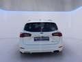 Ford Focus Turnier ST-Line 1.0 EcoBoost *iACC*RFK*LED*NAVI* Weiß - thumbnail 5