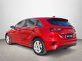 Kia 1.0 MHEV 74kW (100CV) Drive DCT Червоний - thumbnail 7