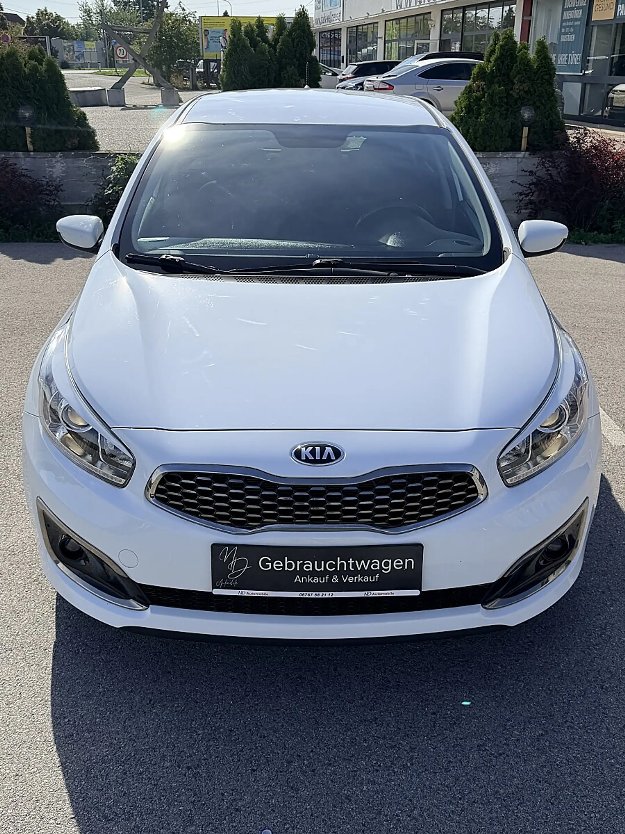 Kia Ceed / cee'd cee'd 1.4 CVVT Titan Plus * Sehr gepflegt* — photo 3