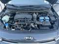 Kia Rio Rio IV 2021 1.0 t-gdi mhev Style 100cv imt Gris - thumbnail 31
