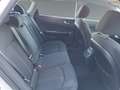 Kia Optima Wagon 1,7 CRDi ISG Silber Weiß - thumbnail 14