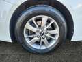 Kia Optima Wagon 1,7 CRDi ISG Silber Weiß - thumbnail 15