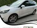 Renault Scenic Scenic 1.6 dci (energy) Bose s Grigio - thumbnail 1