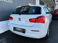 BMW 114 d / Aktion / Led Tagfahrlicht / KLIMA Alb - thumbnail 5