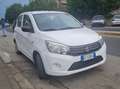 Suzuki Celerio Celerio 2015 1.0  G P L Bianco - thumbnail 1