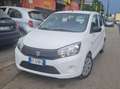 Suzuki Celerio Celerio 2015 1.0  G P L Bianco - thumbnail 5