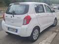 Suzuki Celerio Celerio 2015 1.0  G P L Bianco - thumbnail 2