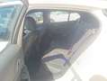 BMW 116 1-serie 116i Executive Edition | M-Sport Line | Ap Blanc - thumbnail 14