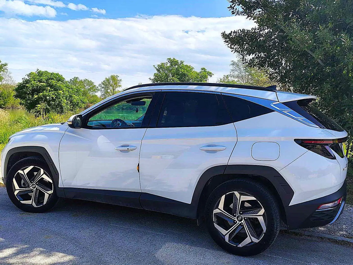 Hyundai TUCSON Tucson III 2021 1.6 phev Exellence 4wd auto Bianco - 1