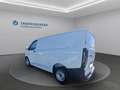 Ford Transit Custom Kasten 2,0 EcoBlue L1H1 280 Basis Weiß - thumbnail 7