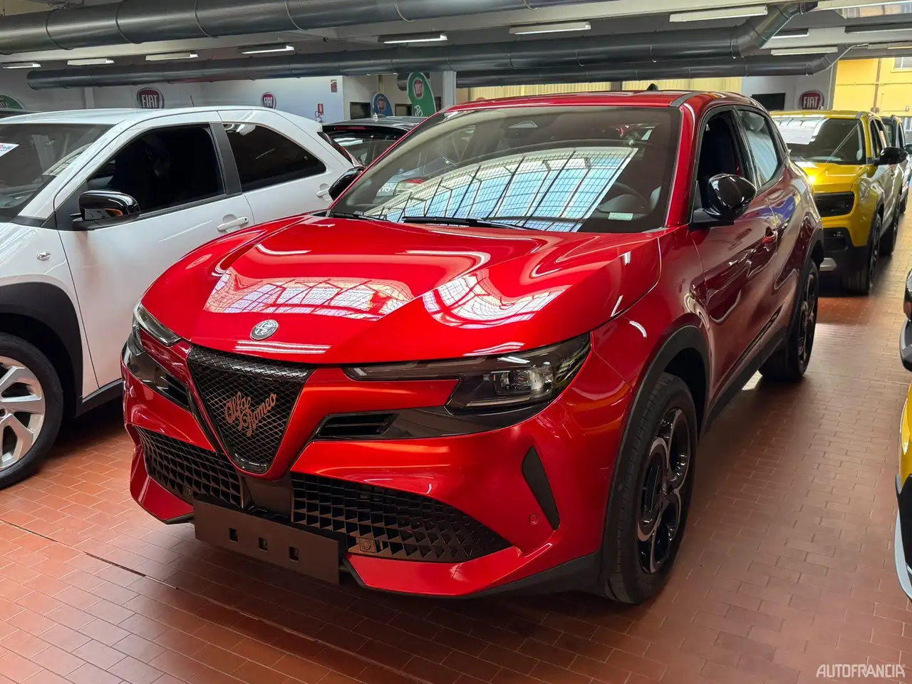 Alfa Romeo Junior 2026