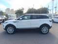 Land Rover Range Rover Evoque 2.0eD4 Pure 2WD 150 Blanco - thumbnail 9