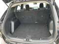 Ford Kuga FHEV Titanium CVT 4WD Schwarz - thumbnail 18