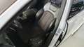 Audi Q7 Q7 3,0TDI QUATTRO | S-LINE | BOSE | PANORAMA |LUFT Weiß - thumbnail 9