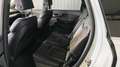 Audi Q7 Q7 3,0TDI QUATTRO | S-LINE | BOSE | PANORAMA |LUFT Weiß - thumbnail 20